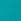Seafoam Regular Cotton Crew Neck T-shirt