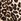 Leopard Brown Modal Short Pyjamas Set