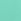 Scuba Green Thong Knickers