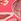 Coral Pink Printed Rash Vest Bikini Set