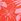 Red Hibiscus Thong Knickers