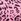 Pink Leopard Tie Side Bikini Bottoms