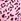 Pink Leopard Triangle Bikini Top