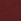 Rooibos Red - Standaard - Poloshirt