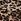 Leopard Print Thong Knickers