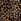 Leopard Brown Thong Exploded Logo Knickers