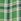 Green Check Shirt