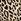 Leopard Brown Victoria's Secret Cotton Logo Bra
