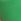 Wild Green Seamless Knickers