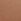 Praline Nude Lace Trim Thong Knickers