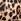 Leopard Brown Victoria's Secret So Obsessed Bra