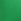 Wild Green Seamless Knickers