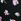 Black Floral Victoria's Secret Pink Bra