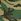 Green Camo Low Back Swimsuit