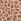 Brown Leopard Cotton Logo Knickers