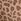 Birch Brown Leopard Cotton Logo Knickers