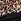 Black & Leopard Brown Victoria's Secret Chain Bikini Bottoms