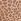 Brown Leopard Boyshort Cotton Logo Knickers