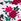Winter White Floral Brief Knickers