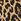 Leopard Brown Card Case Keyring
