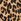 Leopard Print Brown Foldable Keyring Card Holder