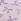 Purple Bow Print G-string No Show Knickers