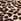 Leopard Brown Non Wired Lightly Lined Slumber Bra