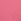 Rose Garden Pink Thong Logo Shine Patch Knickers