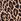 Natural Leopard Black Thong Logo Shine Patch Knickers