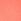 Coral Flash Orange Seamless Sports Bra