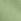 Wild Grass Green Fleece Sweatshirt