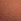 Toasted Sugar Brown Shimmer Swim Bikini Bottom