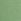 Wild Grass Green Bikini Bottom