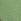 Wild Grass Green Bikini Bottom