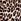 Leopard Brown Basic Instincts Knickers