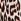 Leopard Brown Basic Instincts Knickers