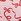Coconut Pink Bows Hipster Lace Trim Knickers