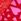 Lipstick Red Hearts Micro Lace Inset Cheeky Knickers
