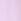 Delicate Violet Purple Dad Short