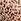 Brown Leopard Print Smooth Push Up T-shirt Bra