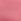 Pink Roses G String Knickers