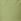Green Crop Chino