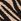 Black Zebra Straw Small Purse