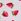 White Strawberries Thong Logo Knickers