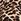 Leopard Brown Thermal Henley Short Pyjama Set