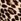 Leopard Brown Thermal Henley Long Pyjama Set