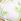 Limesicle Green Toile Print Reversible Bikini Bottom