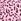 Pink Leopard Lace Trim Cami Top