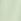Green Logo Shorts