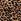 Leopard Brown Brief Knickers
